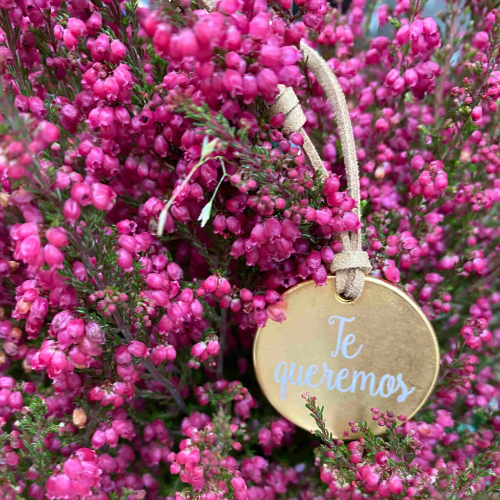 Collar chapa grabado personalizado