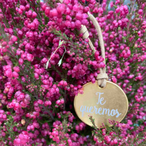 Collar chapa grabado personalizado
